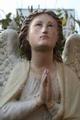 Angels en plaster polychrome, France 19th century